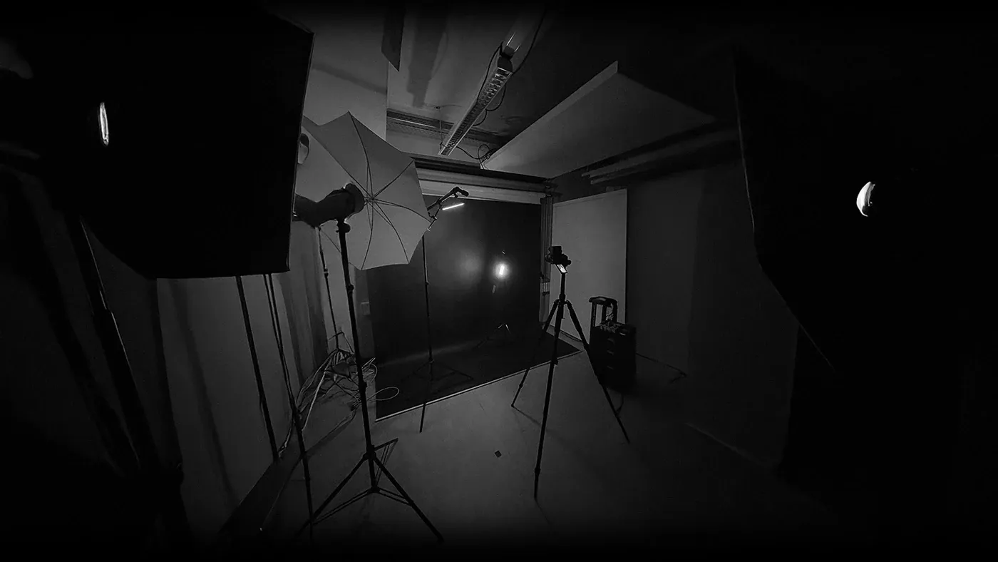 Holzkern, visuel 3