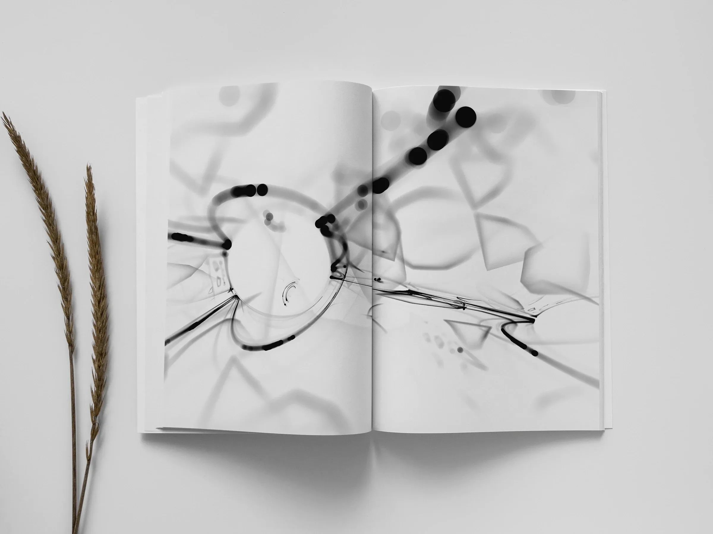 Les Ombres Du Paradis, visuel 18