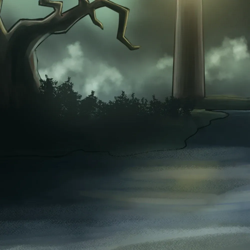 Les Ombres Du Paradis, visuel 17