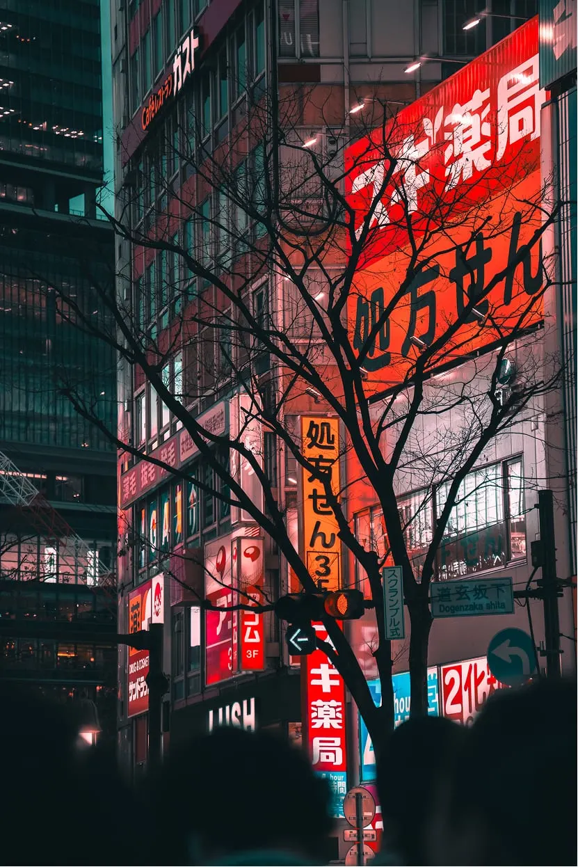 Photographie urbaine de nuit — néons de Tokyo